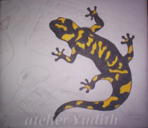 Linux salamander